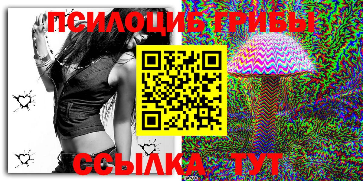 Псилоцибиновые грибы мицелий Киселёвск