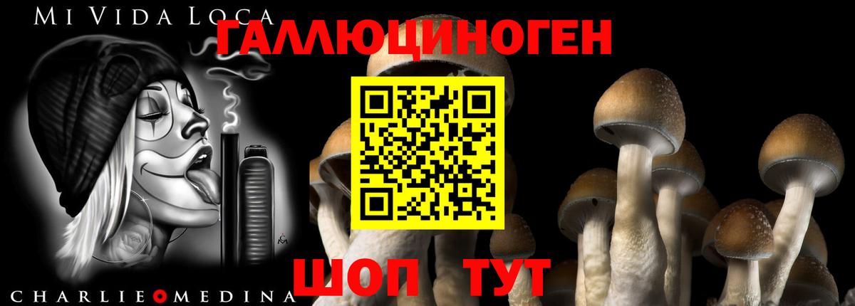 Псилоцибиновые грибы ЛСД  Вход с VPN  Псилоцибиновые грибы Psilocybine cubensis  Киселёвск 